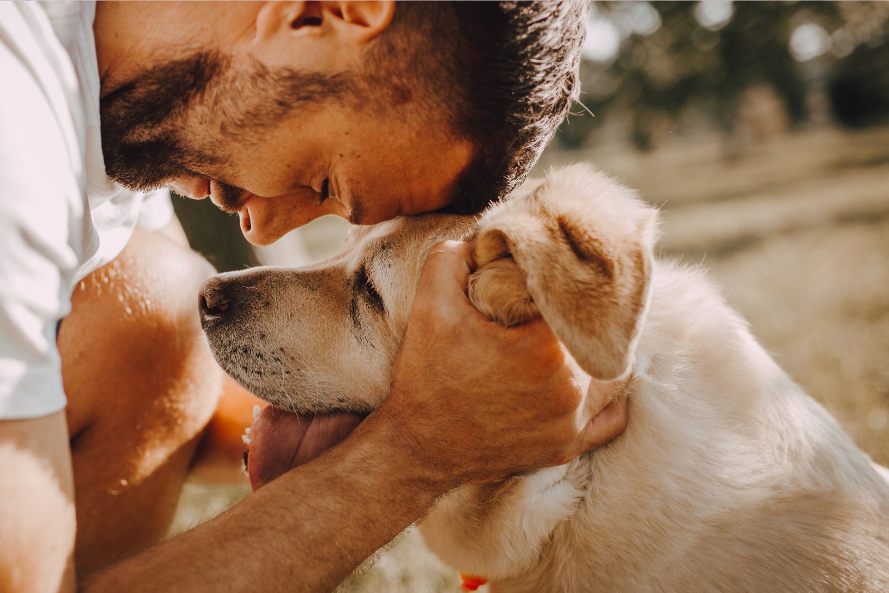 WhatsApp Image 2025-07-21 at 14.06.32